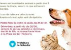 Campanha de vacinação antirrábica para cães e gatos terá sistema drive-thru.