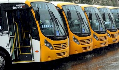 Permissionários da STEC demitem cobradores.