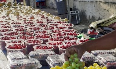 Feiras livres em Pau da Lima e São Marcos movimentam economia da região.