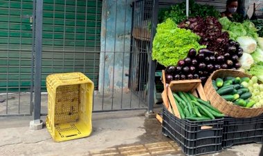 Crescimento desordenado de ambulantes em nosso bairro, tem chamado atenção dos pedestres.