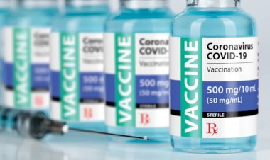 Vacinação em Jovens Saudáveis só deve ocorrer em 2022, diz OMS