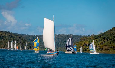 54 Anos da Regata Aratu-Maragogipe: Um Mar de Histórias e Aventuras Náuticas.