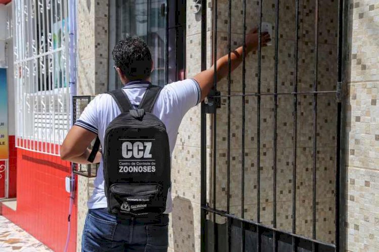Circuitos Carnavalescos de bairro recebem ação combate Aedes aegypti.
