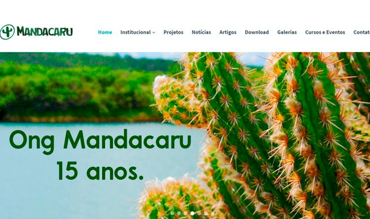 Conecte-se a Ong Mandacaru