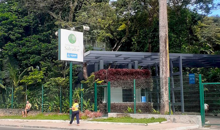 Vocês conhecem o Jardim Botânico de Salvador?